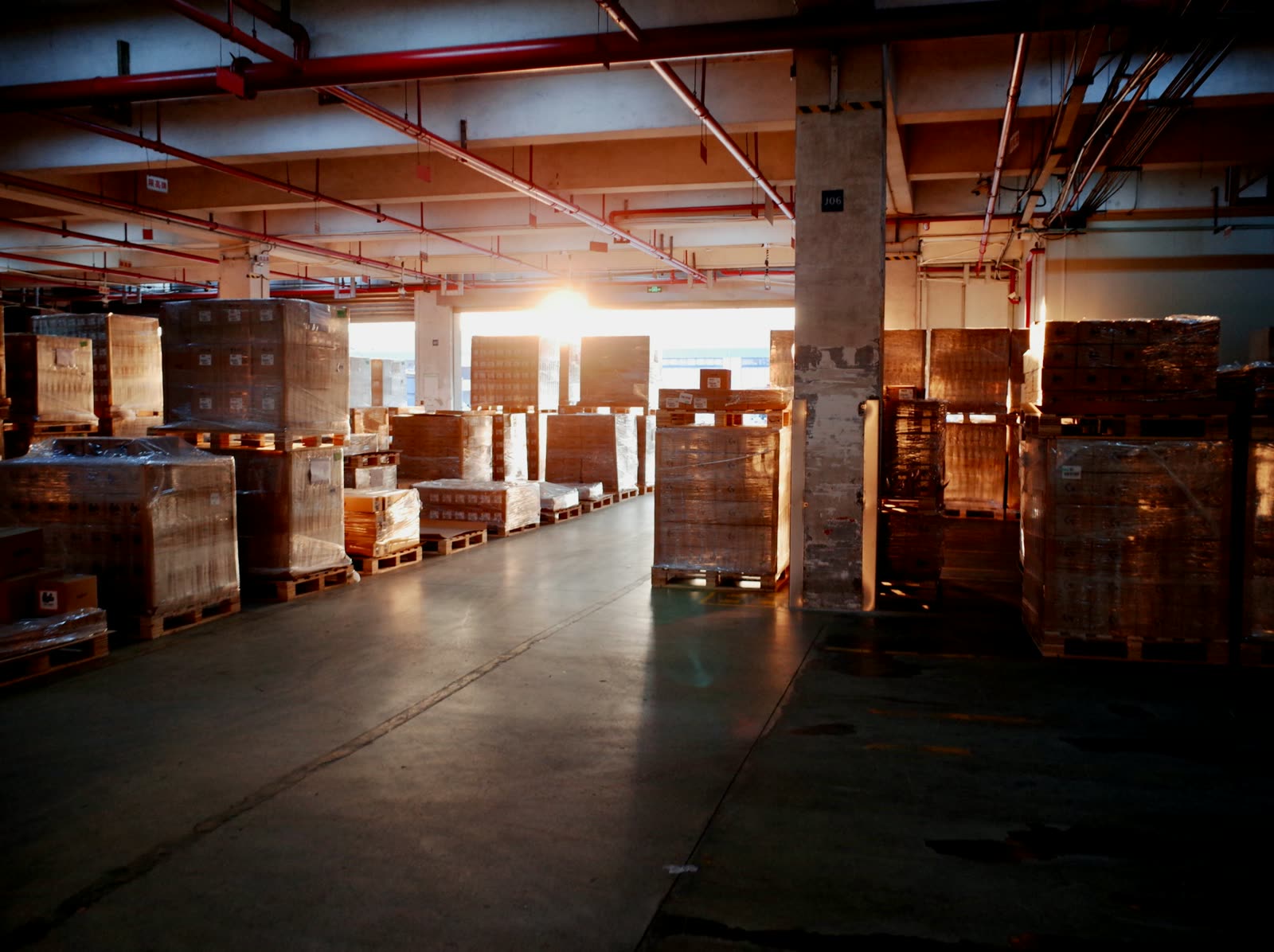 A warehouse floor filled with shrink-wrapped pallets, lit by daylight through the loading doors